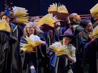 Harry Potter in Hamburg, Foto (c) Manuel Harlan / Mehr! Theater