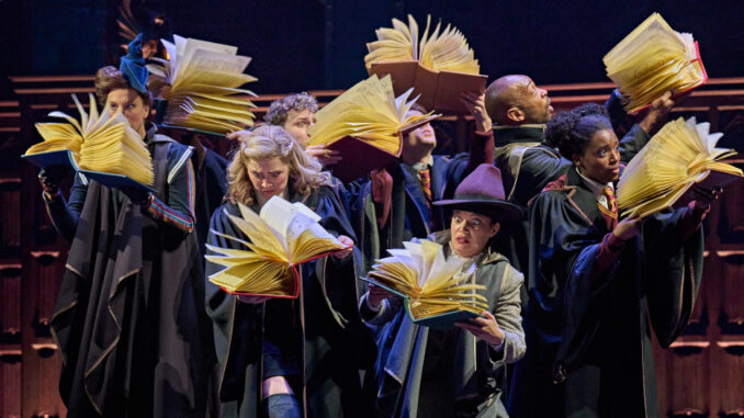 Harry Potter in Hamburg, Foto (c) Manuel Harlan / Mehr! Theater